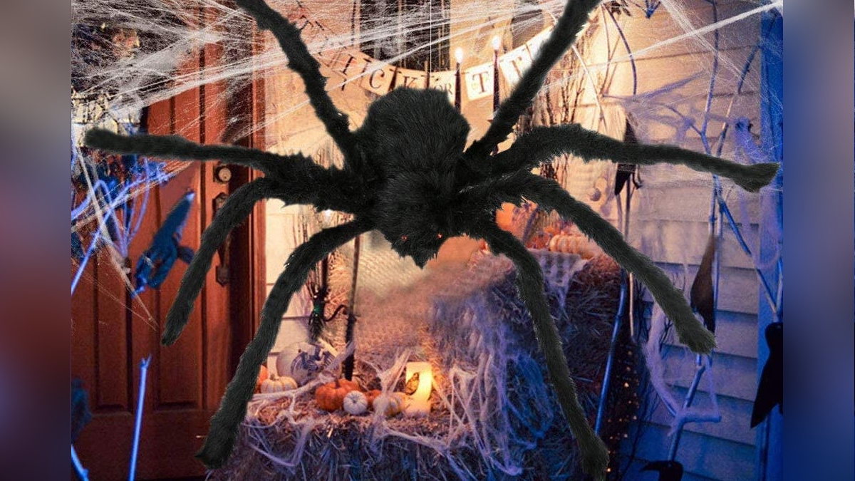 EventPhotos/Halloween/a spider 2.jpg